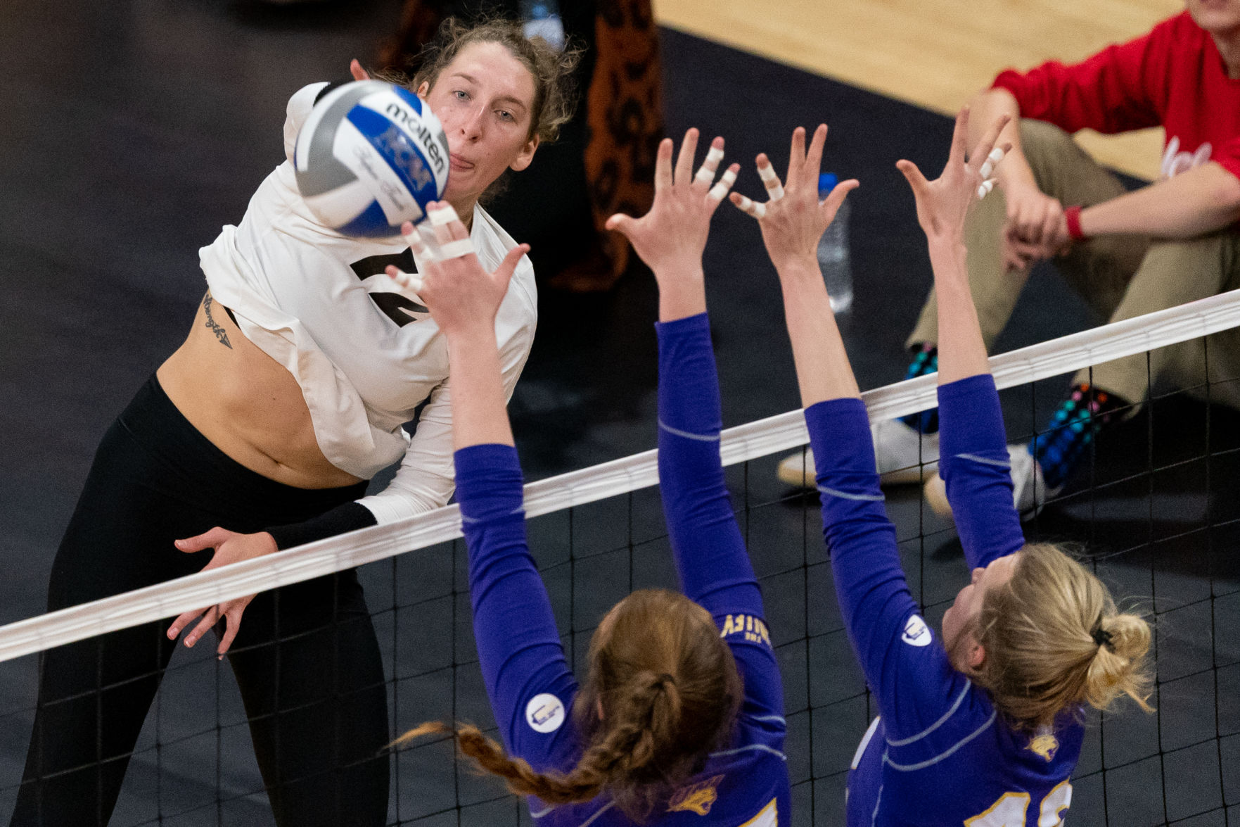 NCAA Volleyball Playoffs Photo No. 13